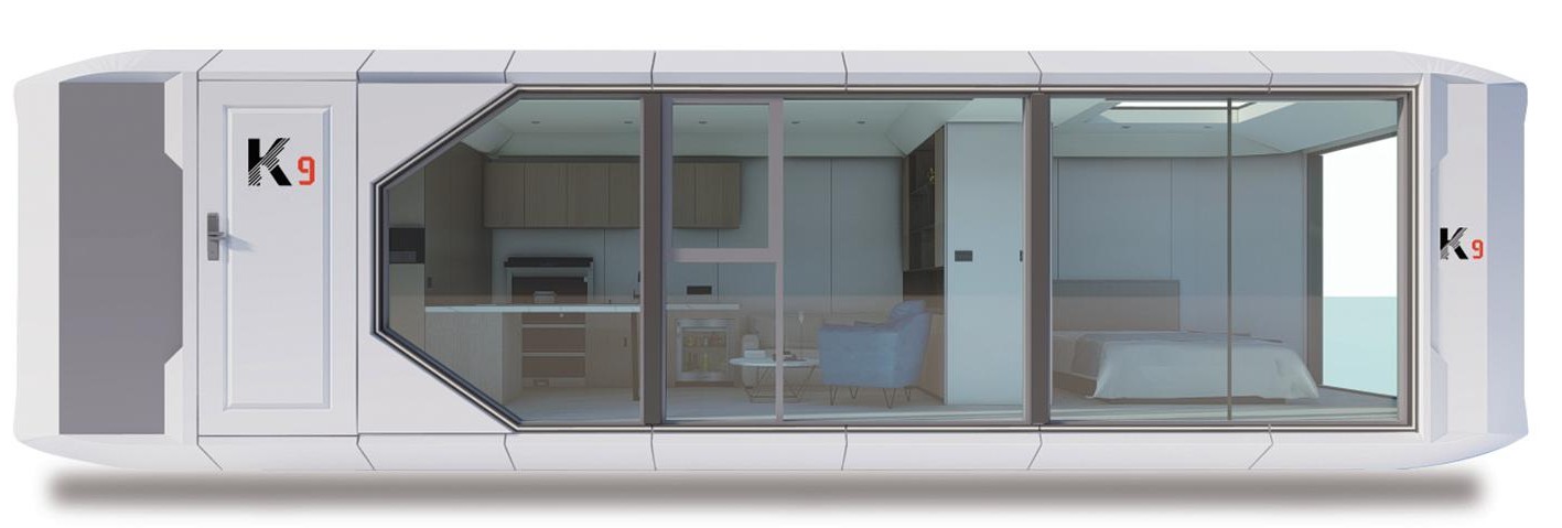 K9